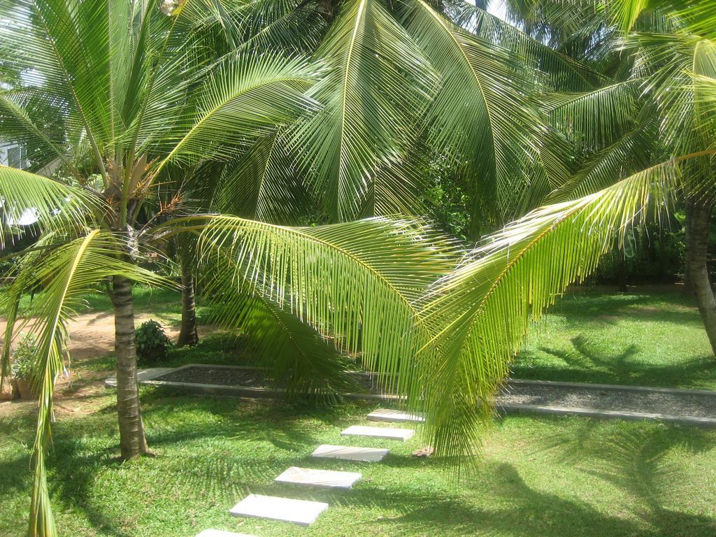 Liyana Holiday Resort Anuradhapura Kültér fotó