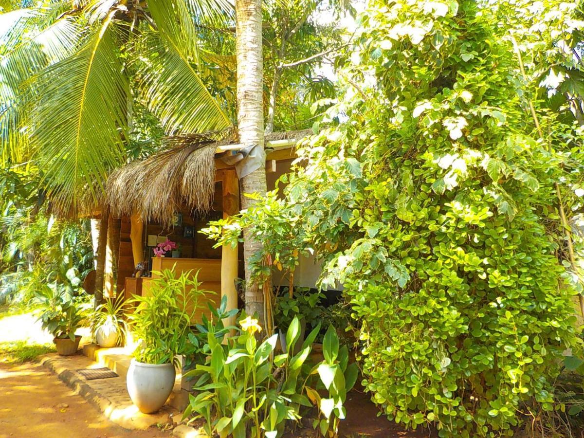 Liyana Holiday Resort Anuradhapura Kültér fotó